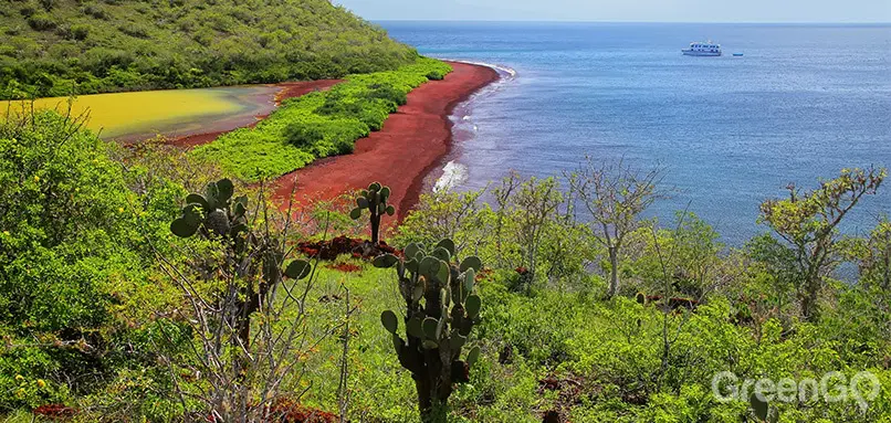 Why-Go-to-the-Galapagos-Islands-Rabida-Island