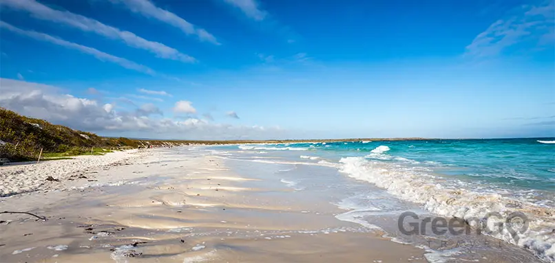 Tortuga bay beach