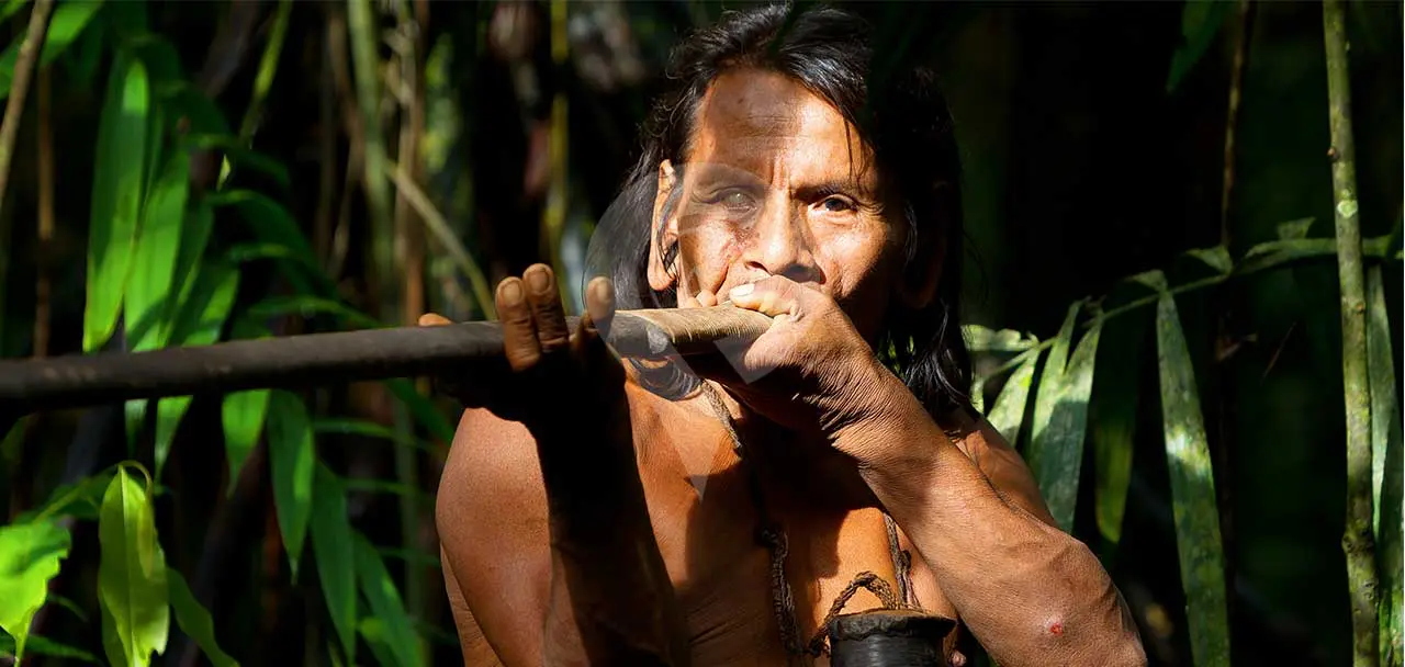 Yasuni vs Cuyabeno Woarani