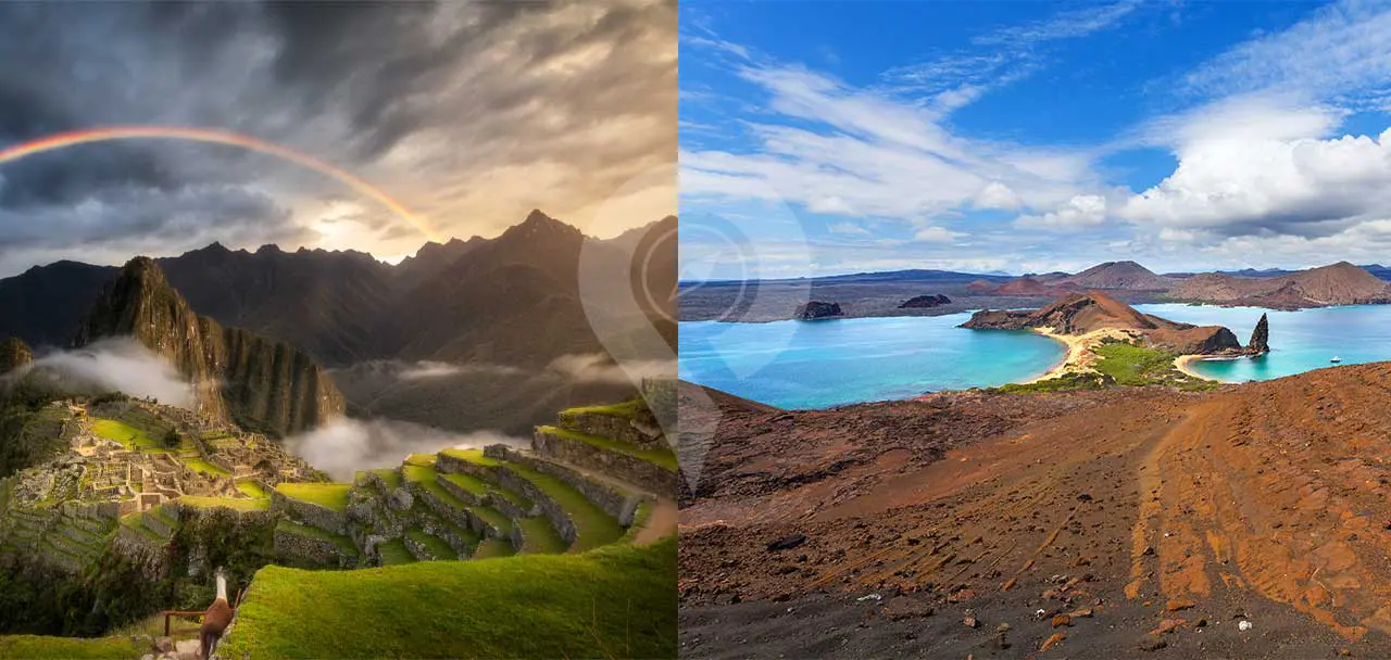 Peru vs Ecuador