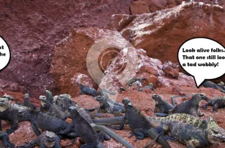 Best time to visit Galapagos to avoid seasickness