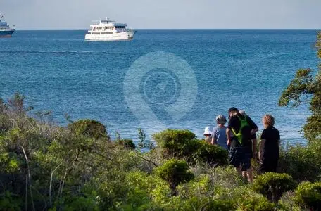 Galapagos Cruise Charter