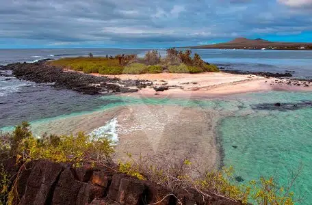 Galapagos-Floreana-Island