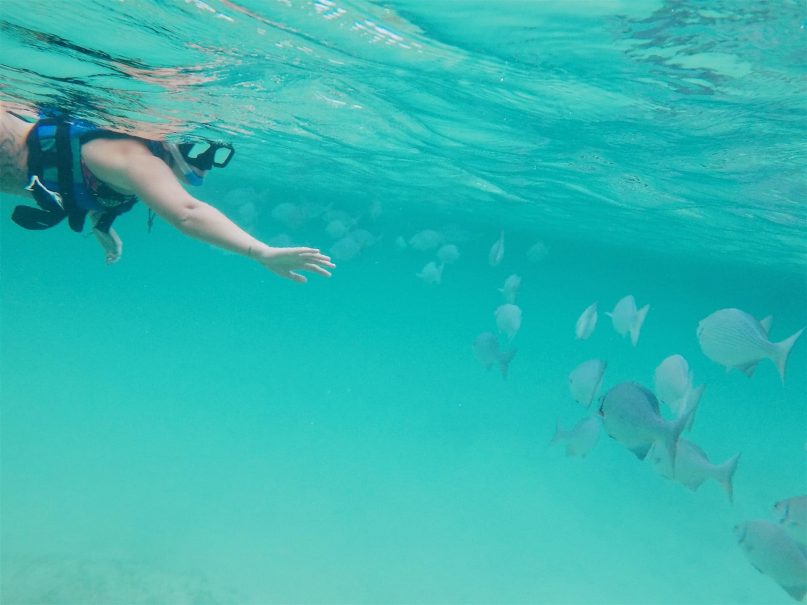 Girl snorkelling with fish