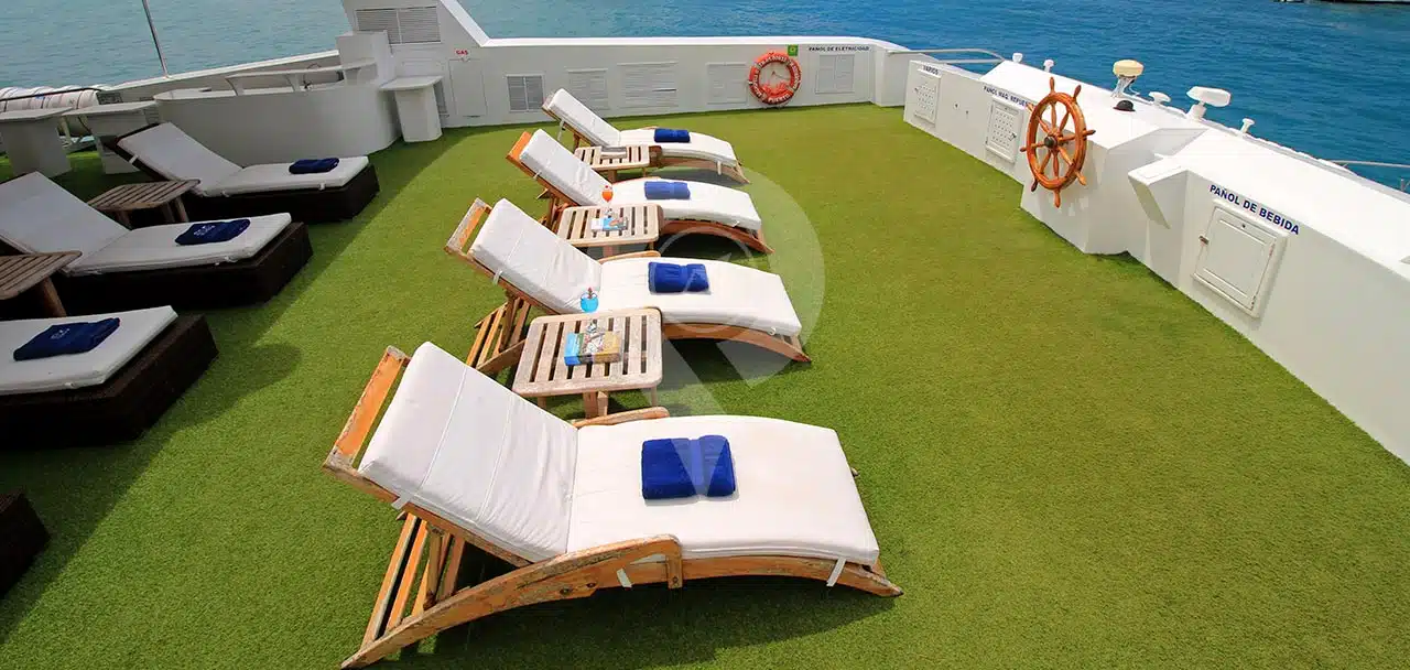Anali-Galapagos-Catamaran-Sun-Deck-Chairs-2