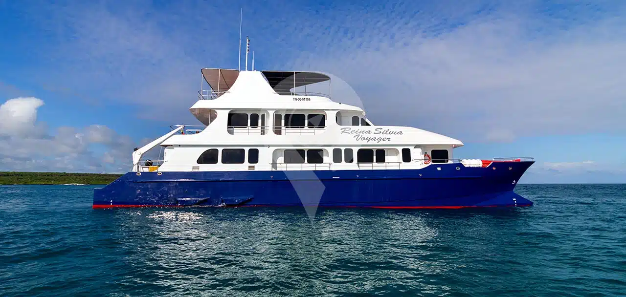 Reina Silvia Voyager Galapagos Catamaran - Offers & Secure Booking