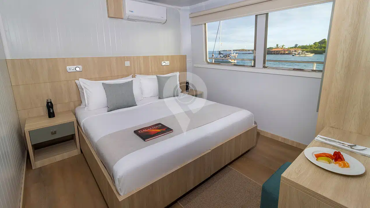 Galapagos-Angel-Yacht-double-cabin