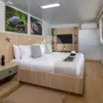 Galapagos-Angel-Yacht-suite