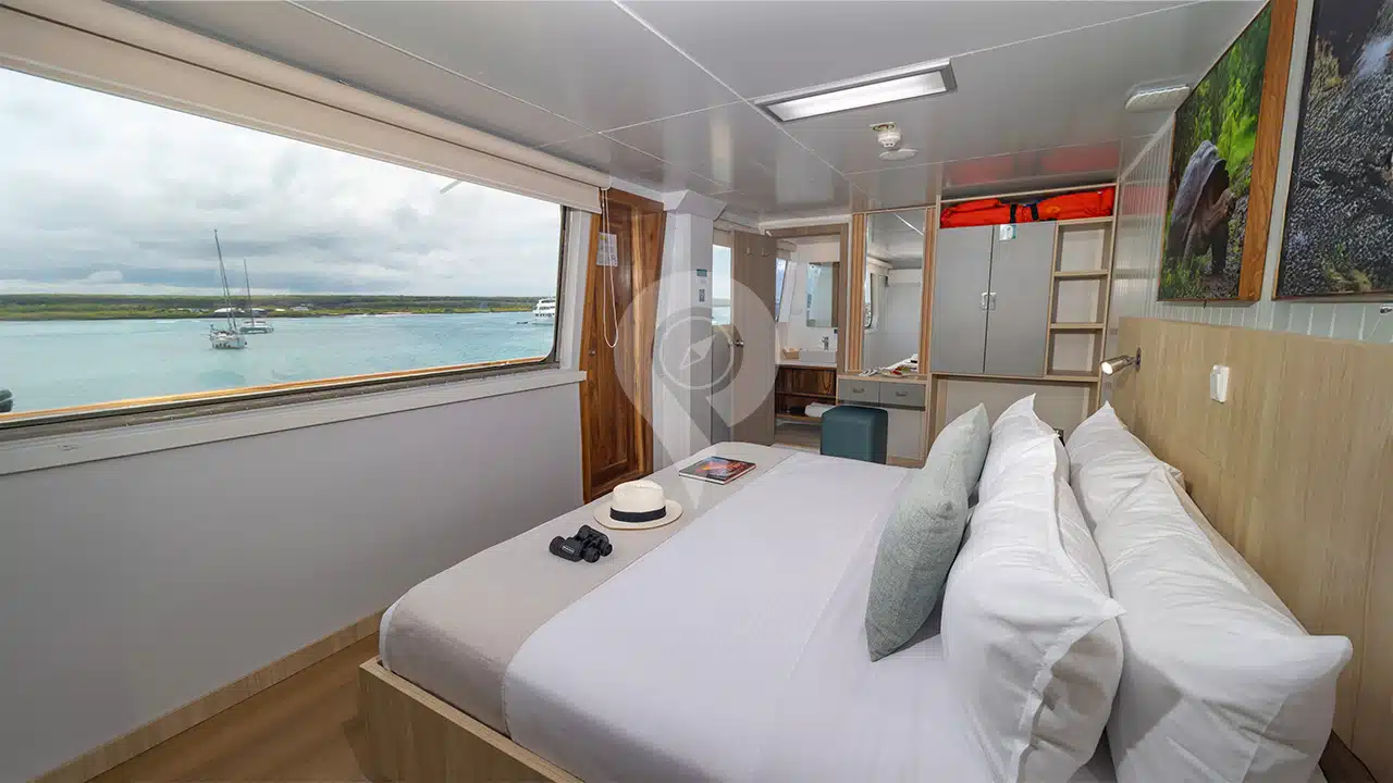 Galapagos-Angel-Yacht-suite-2