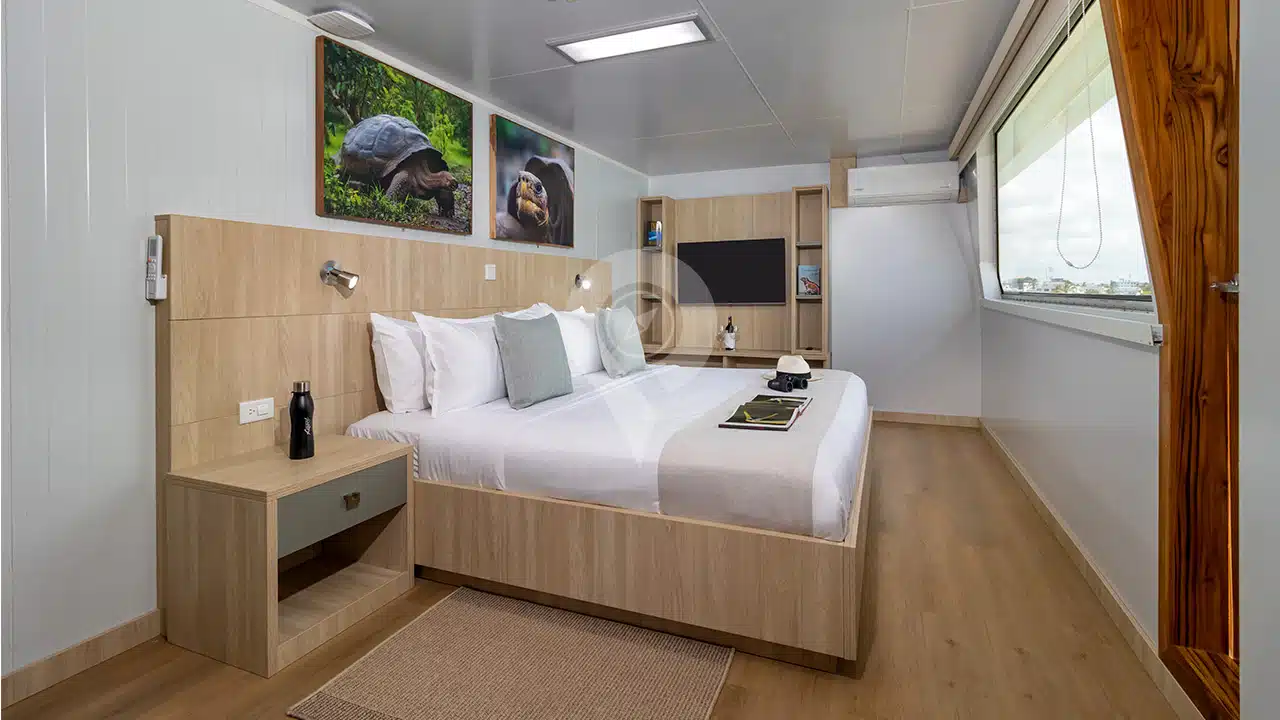 Galapagos-Angel-Yacht-suite