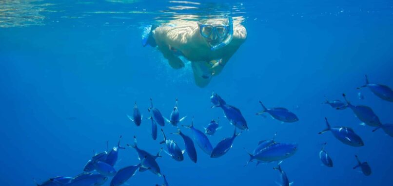 Galapagos Island Tour Snorkeling