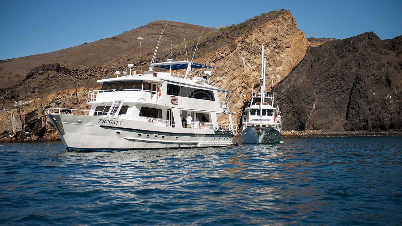 galapagos cruises budget