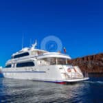 Grand Daphne Galapagos Yacht - Crusing