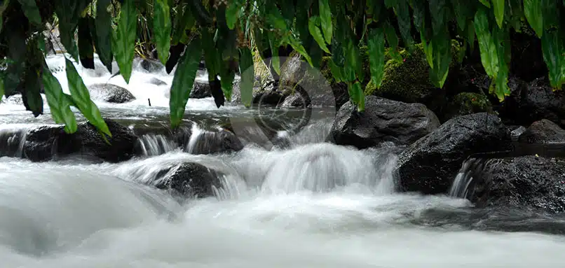 Papallacta-Attractions
