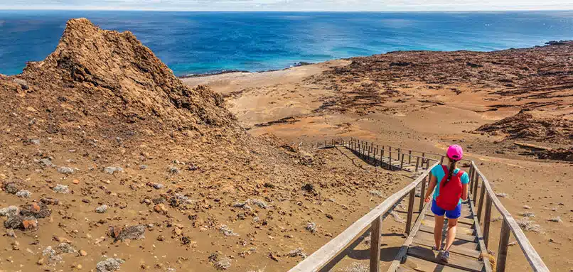 best-land-based-tours