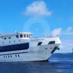 Tiburon-Explorer