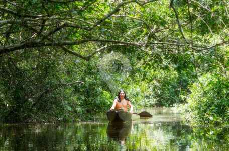 Wheres-the-amazon-rainforest