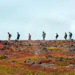 Galapagos-Discovery