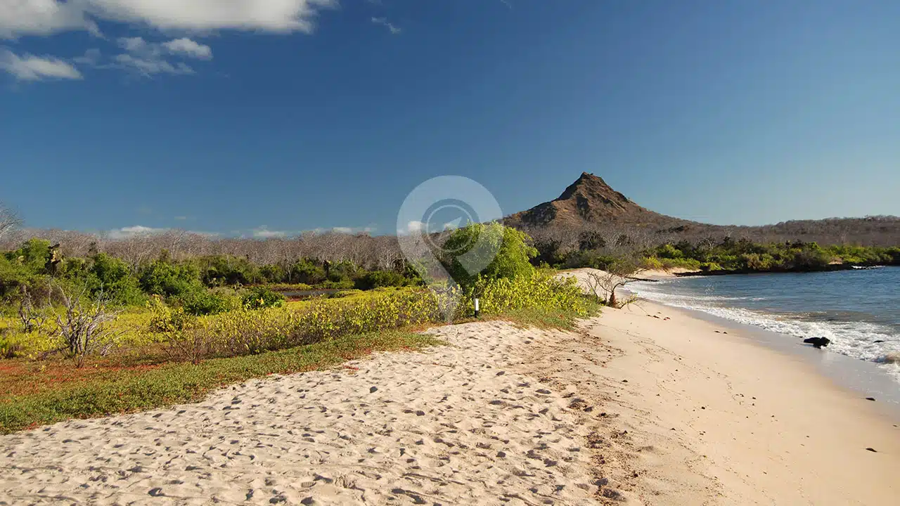Galapagos-Land-Tours-Garrapaterro-Beach