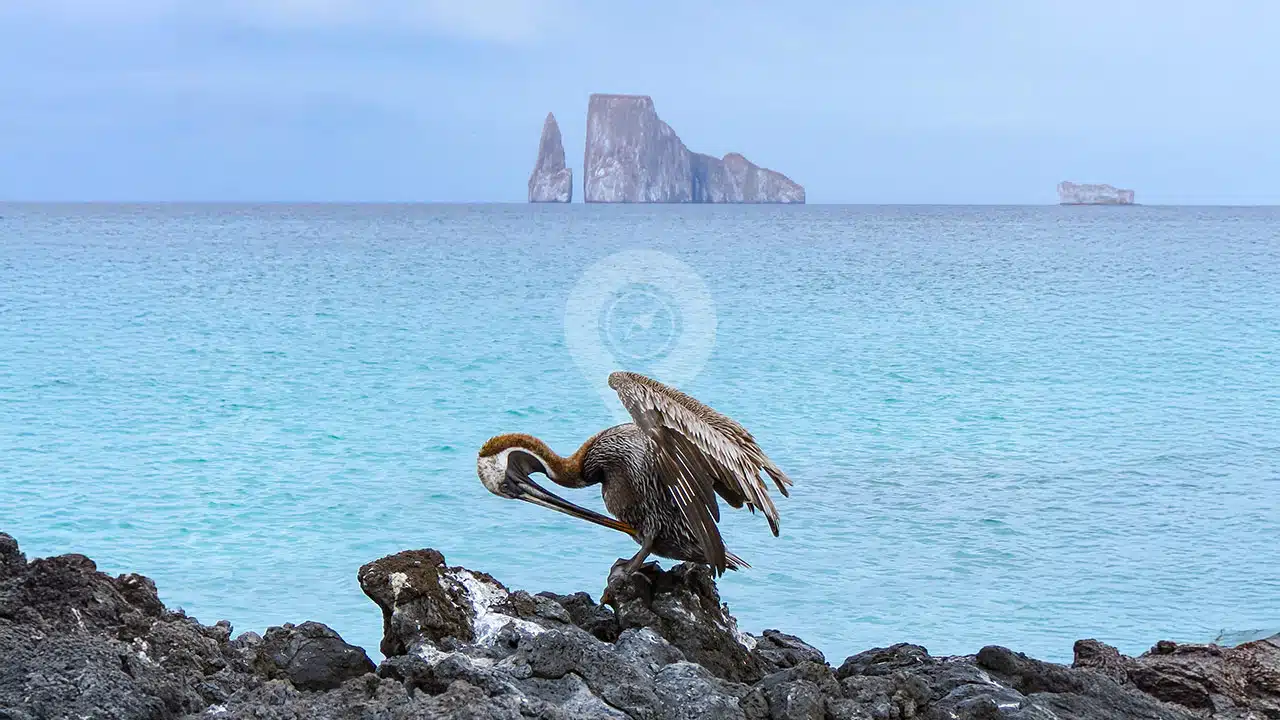 Kicker-Rock