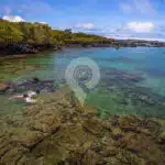 Snorkelling-at-Concha-Perla