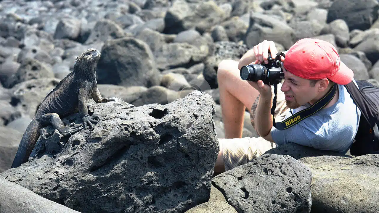 Anahi-Galapagos-Catamaran-Photograph-Wildlife