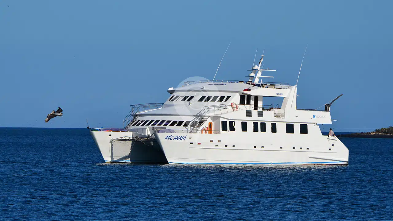 Anahi-Galapagos-Catamaran-Sailing