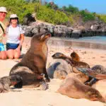 Anahi-Galapagos-Catamaran-Tourist-and-Sea-Lion
