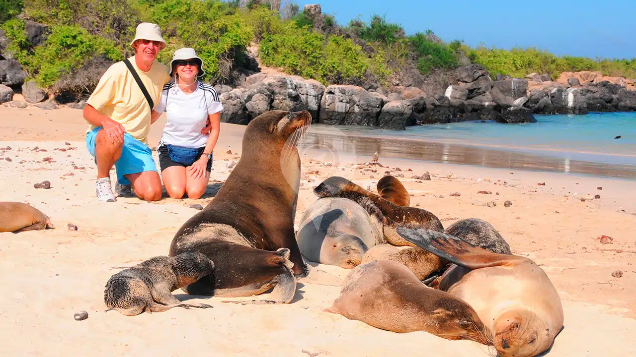 Anahi-Galapagos-Catamaran-Tourist-and-Sea-Lion