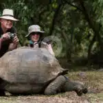 Coral-Galapagos-Yachts-giant-tortoise