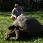Galaxy-Sirius-Galapagos-Catamaran-Giant-Turtle
