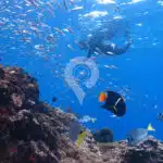 Galaxy-Sirius-Galapagos-Catamaran-Snorkel02