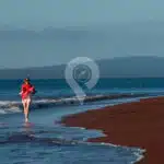 Legend-Galapagos-Yacht-Rabida-Island