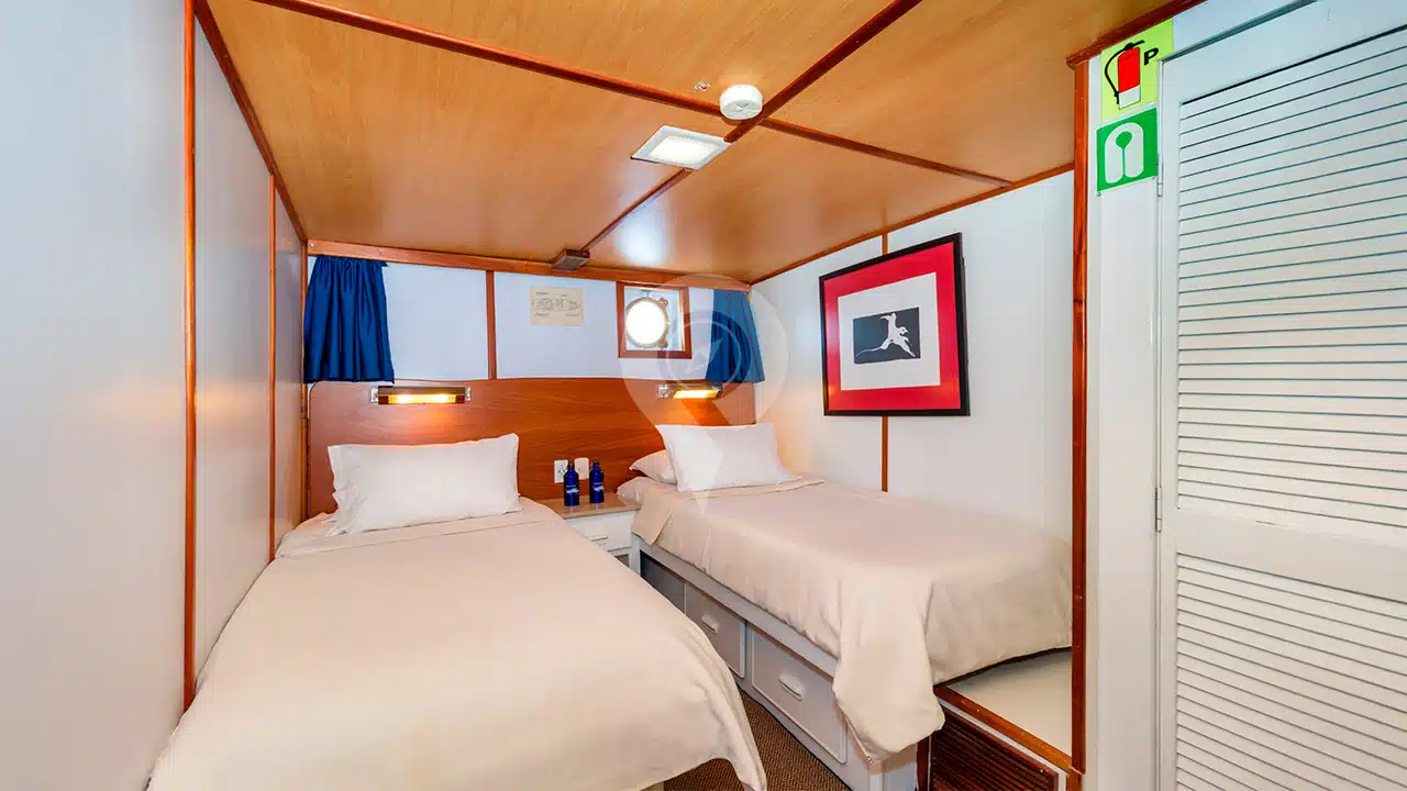 Beluga-Galapagos-Yacht-twin-cabin