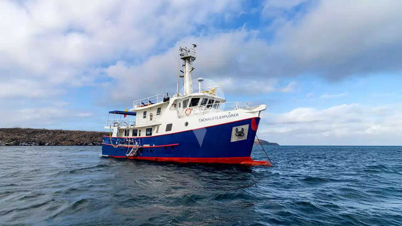 Cachalote-Explorer-Galapagos-Yacht-1