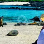 Cachalote-Explorer-Galapagos-Yacht-activities-2