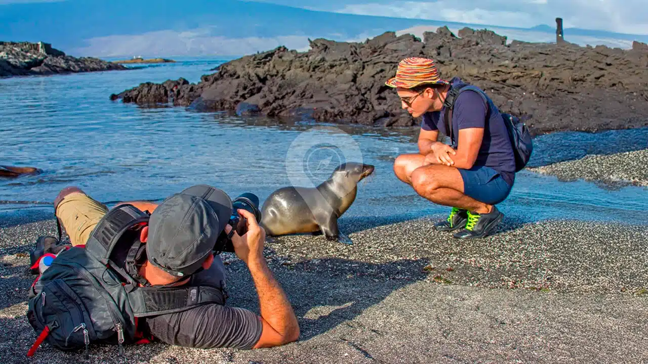 Cachalote-Explorer-Galapagos-Yacht-activities-4
