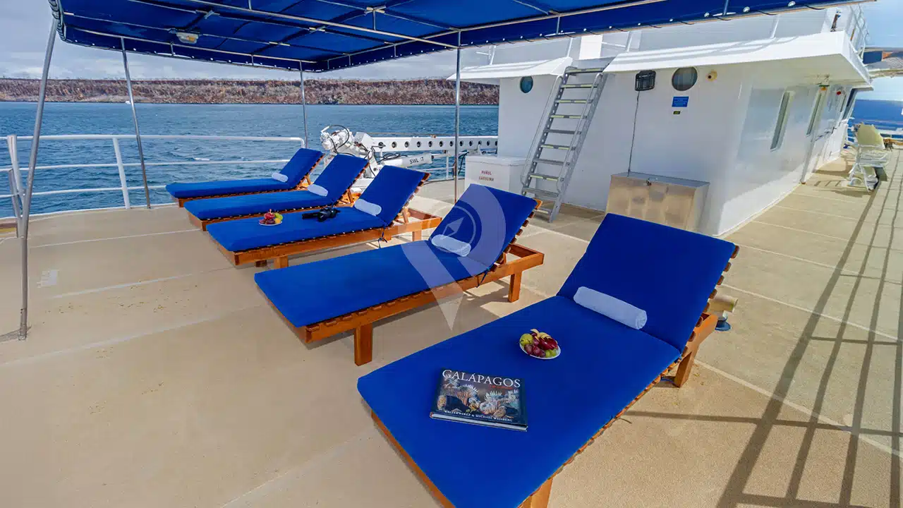 Cachalote-Explorer-Galapagos-Yacht-al-fresco-3
