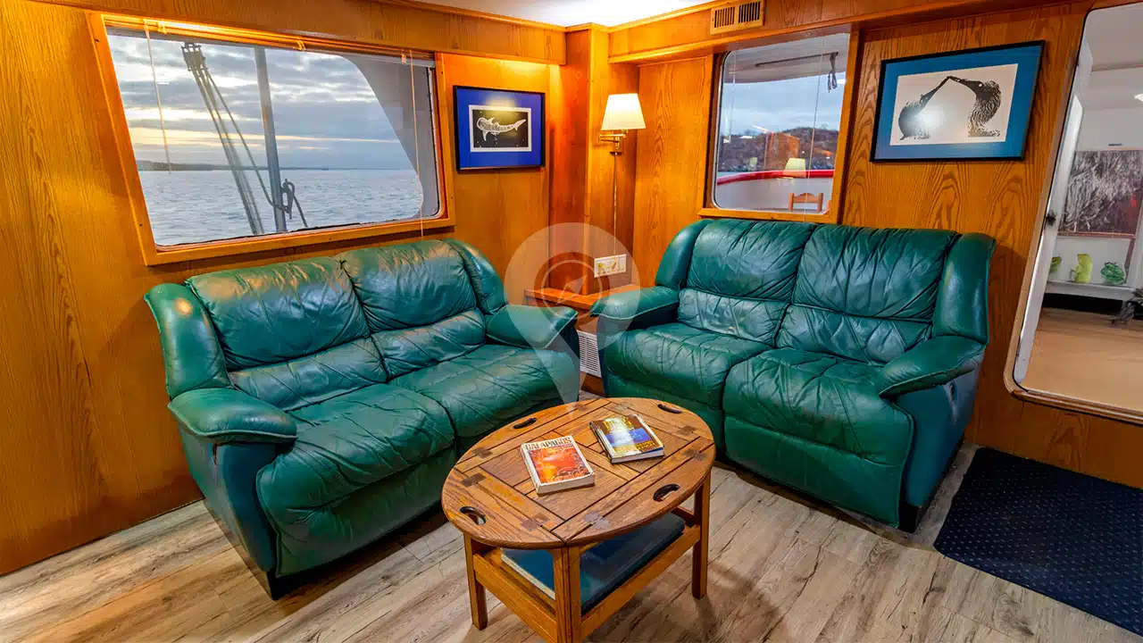 Cachalote-Explorer-Galapagos-Yacht-social-area