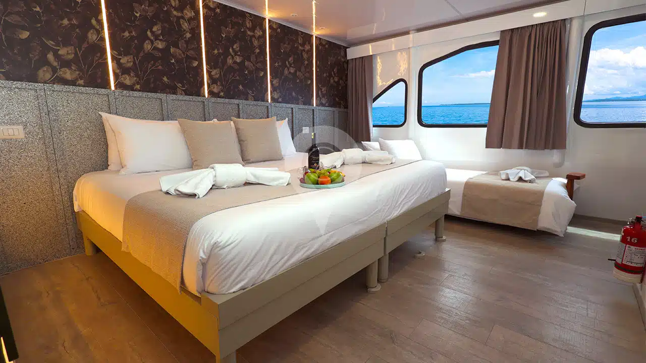 EcoGalaxy-Galapagos-Catamaran-triple-cabin