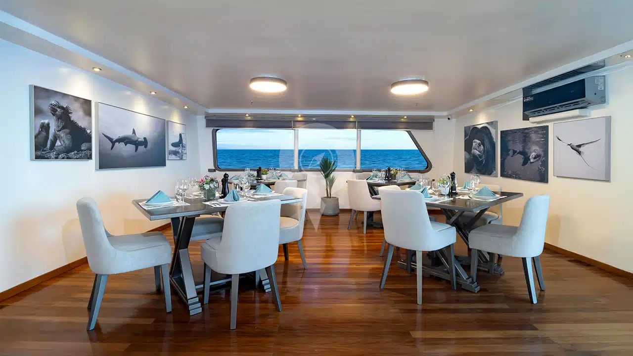 Galapagos-Horizon-Trimaran-dining-area