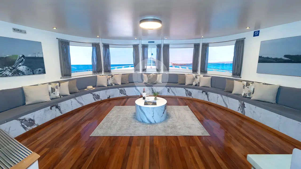 Galapagos-Horizon-Trimaran-lounge
