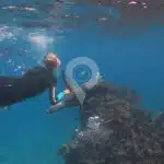 Galaxy-Galapagos-Yacht-snorkel