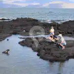 Galaxy-Orion-Galapagos-Yacht-activities