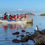 Galaxy-Orion-Galapagos-Yacht-panga