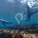 Galaxy-Orion-Galapagos-Yacht-scuba-diving