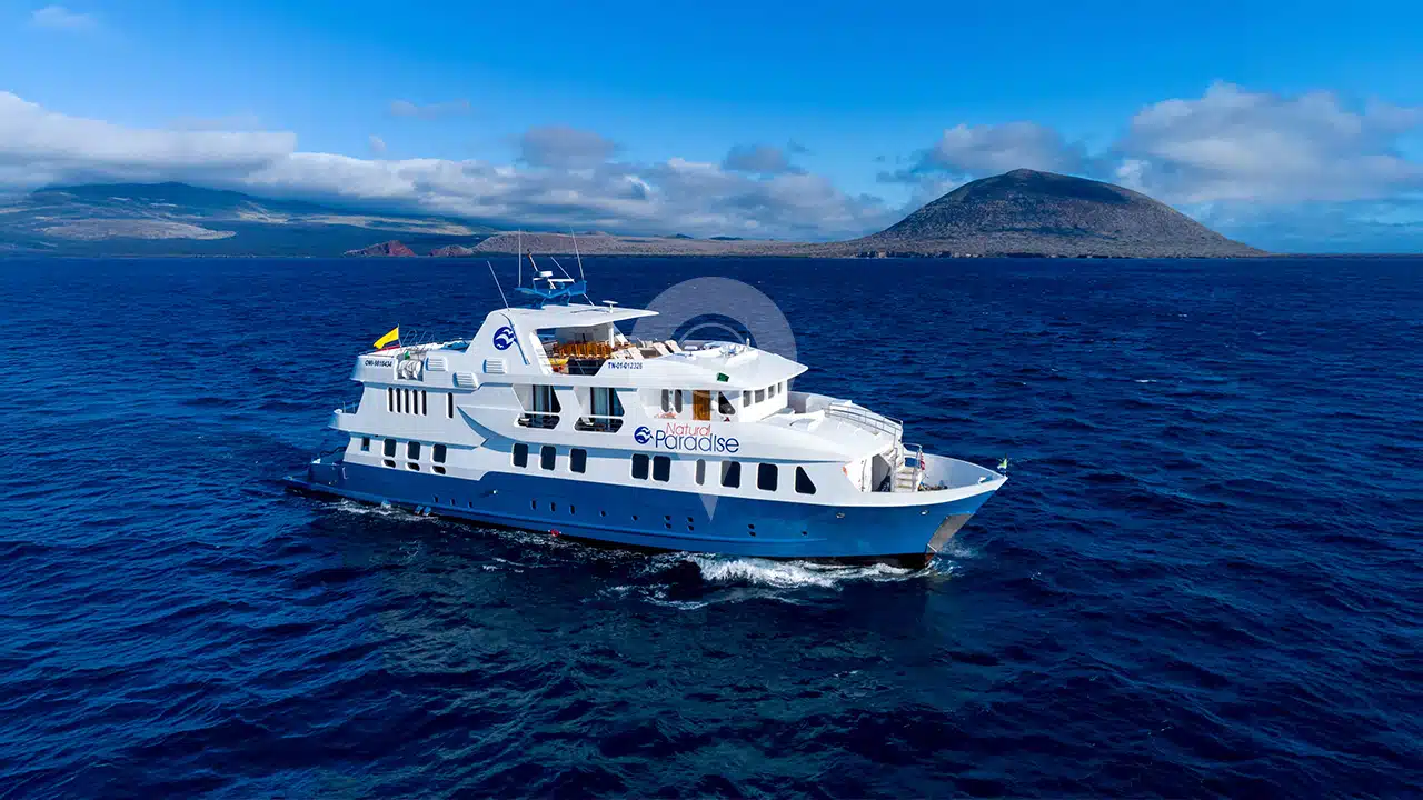 Natural Paradise Galapagos Yacht - Offers & Secure Booking