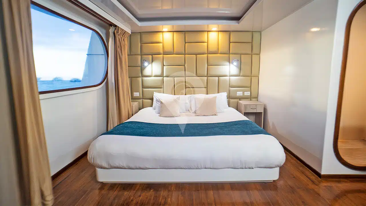 Petrel-Galapagos-Catamaran-suit
