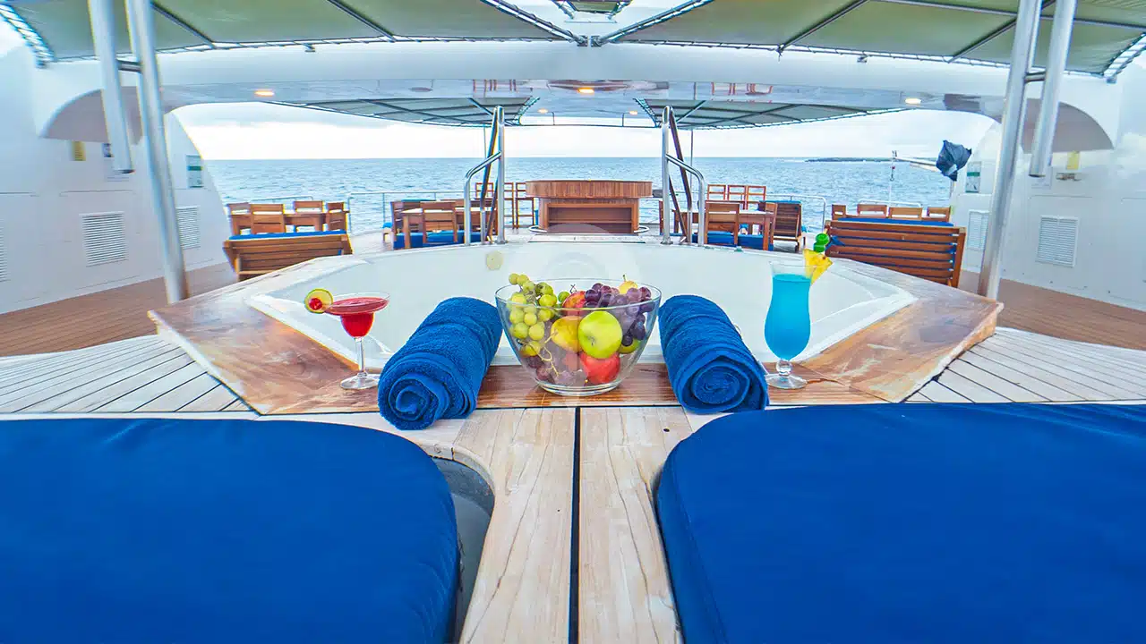 Petrel-Galapagos-Catamaran-sundeck2