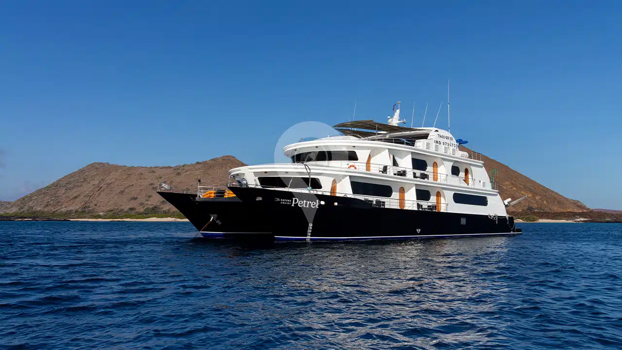 Petrel-Galapagos-Catamaran